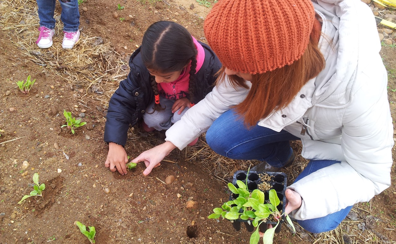 Galería Fotográfica - Huertos Educativos de Mérida